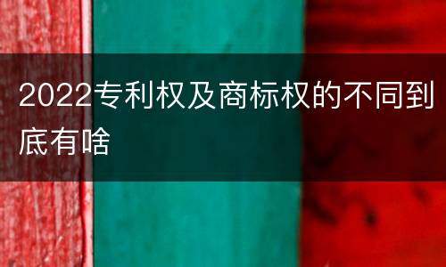 2022专利权及商标权的不同到底有啥