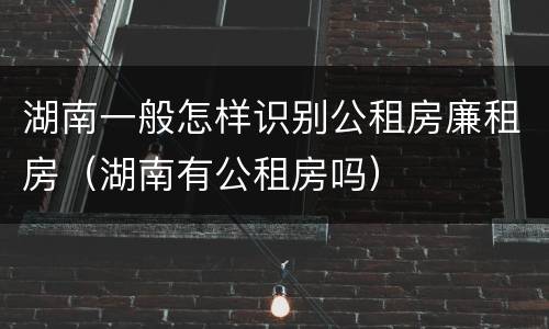 湖南一般怎样识别公租房廉租房（湖南有公租房吗）