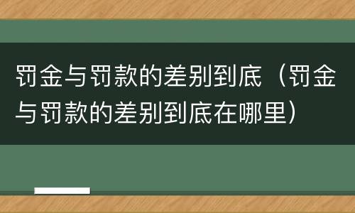 罚金与罚款的差别到底（罚金与罚款的差别到底在哪里）