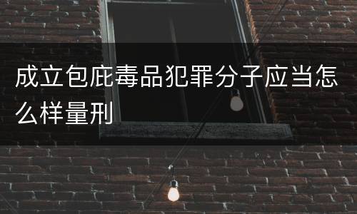 成立包庇毒品犯罪分子应当怎么样量刑