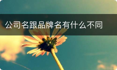 公司名跟品牌名有什么不同