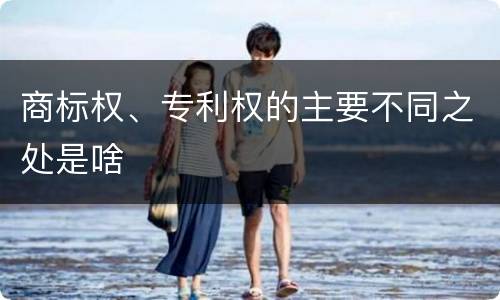 商标权、专利权的主要不同之处是啥