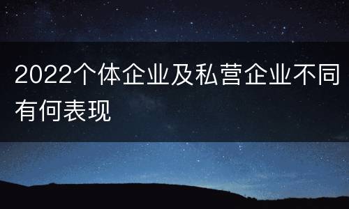 2022个体企业及私营企业不同有何表现