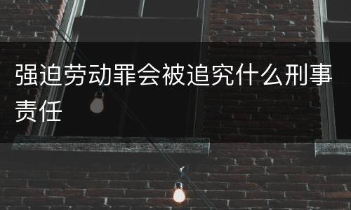 强迫劳动罪会被追究什么刑事责任