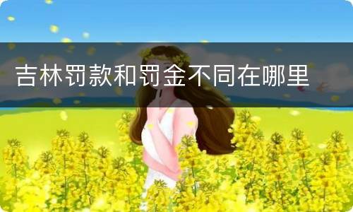 吉林罚款和罚金不同在哪里