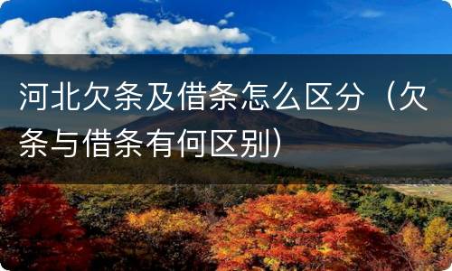河北欠条及借条怎么区分（欠条与借条有何区别）