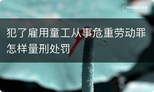 犯了雇用童工从事危重劳动罪怎样量刑处罚