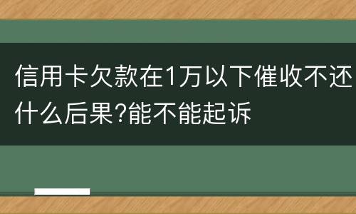 信用卡欠款在1万以下催收不还什么后果?能不能起诉