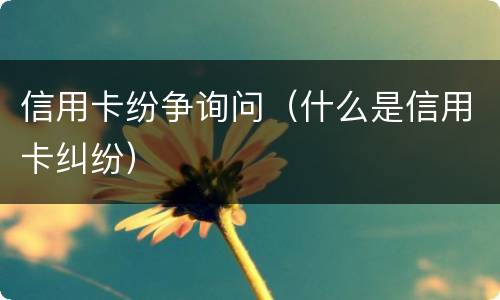 信用卡纷争询问（什么是信用卡纠纷）