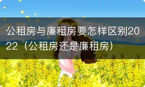 公租房与廉租房要怎样区别2022（公租房还是廉租房）