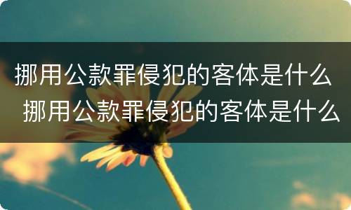 挪用公款罪侵犯的客体是什么 挪用公款罪侵犯的客体是什么行为
