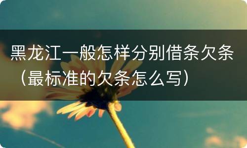 黑龙江一般怎样分别借条欠条（最标准的欠条怎么写）