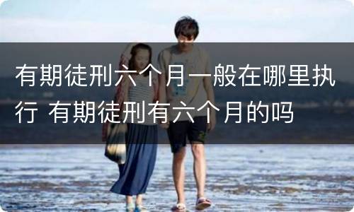 有期徒刑六个月一般在哪里执行 有期徒刑有六个月的吗