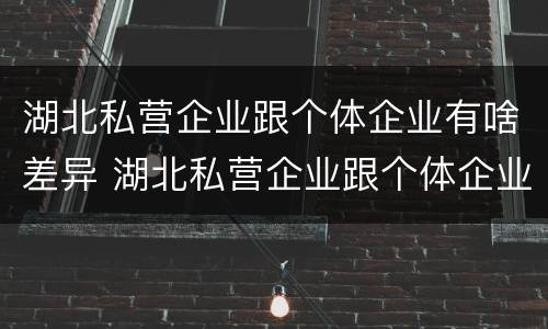 湖北私营企业跟个体企业有啥差异 湖北私营企业跟个体企业有啥差异嘛
