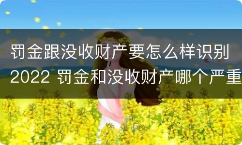 罚金跟没收财产要怎么样识别2022 罚金和没收财产哪个严重