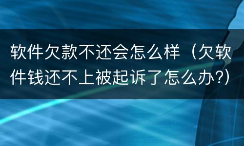 软件欠款不还会怎么样（欠软件钱还不上被起诉了怎么办?）
