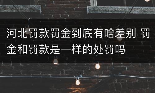 河北罚款罚金到底有啥差别 罚金和罚款是一样的处罚吗