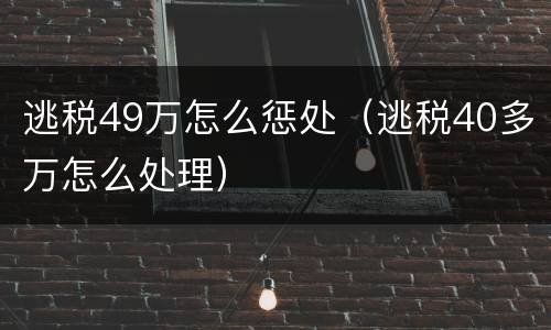 逃税49万怎么惩处（逃税40多万怎么处理）