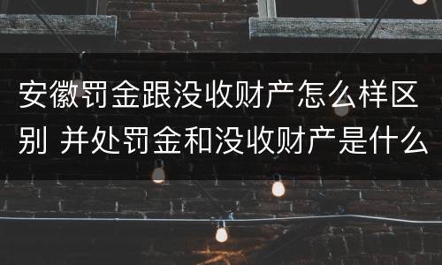 安徽罚金跟没收财产怎么样区别 并处罚金和没收财产是什么意思