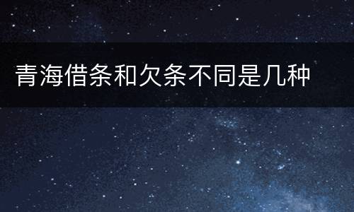 青海借条和欠条不同是几种