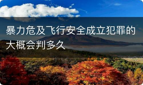 暴力危及飞行安全成立犯罪的大概会判多久