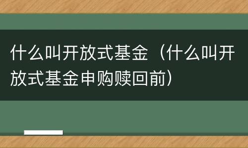 什么叫开放式基金（什么叫开放式基金申购赎回前）