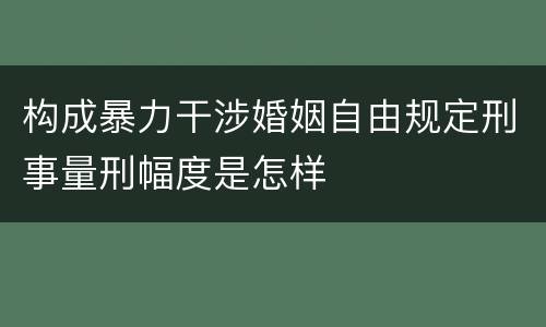 构成暴力干涉婚姻自由规定刑事量刑幅度是怎样