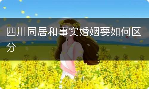 四川同居和事实婚姻要如何区分