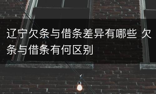 辽宁欠条与借条差异有哪些 欠条与借条有何区别