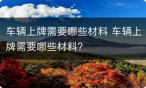 车辆上牌需要哪些材料 车辆上牌需要哪些材料?