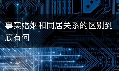 事实婚姻和同居关系的区别到底有何