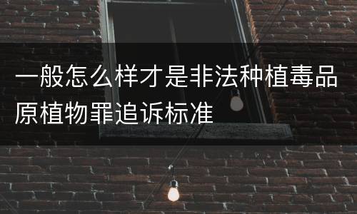 一般怎么样才是非法种植毒品原植物罪追诉标准