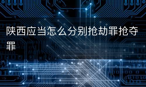 陕西应当怎么分别抢劫罪抢夺罪