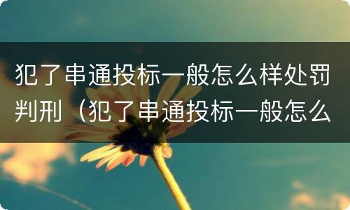 犯了串通投标一般怎么样处罚判刑（犯了串通投标一般怎么样处罚判刑吗）
