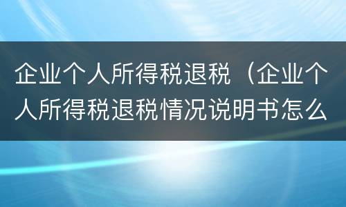 企业个人所得税退税（企业个人所得税退税情况说明书怎么写）