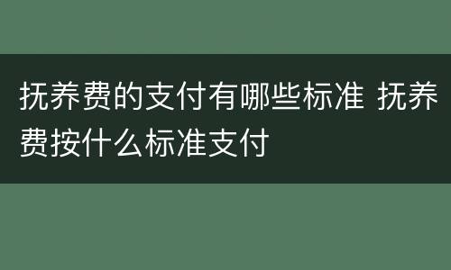 抚养费的支付有哪些标准 抚养费按什么标准支付