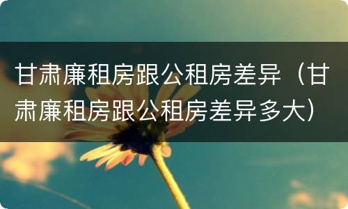 甘肃廉租房跟公租房差异（甘肃廉租房跟公租房差异多大）