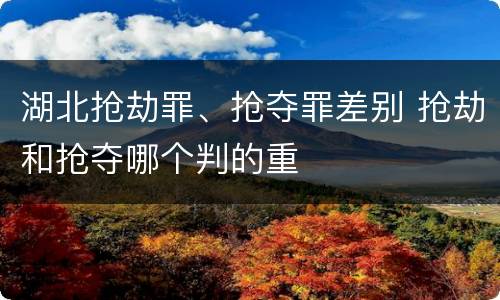 湖北抢劫罪、抢夺罪差别 抢劫和抢夺哪个判的重