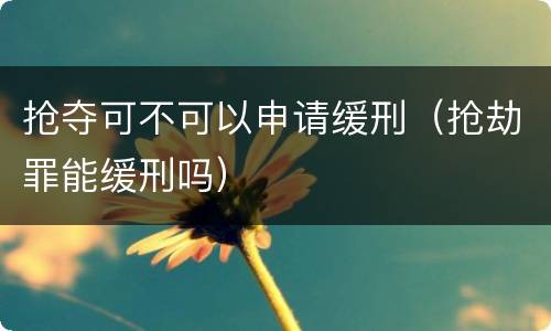抢夺可不可以申请缓刑（抢劫罪能缓刑吗）