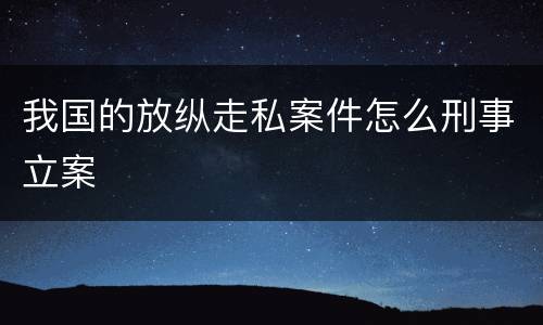 我国的放纵走私案件怎么刑事立案