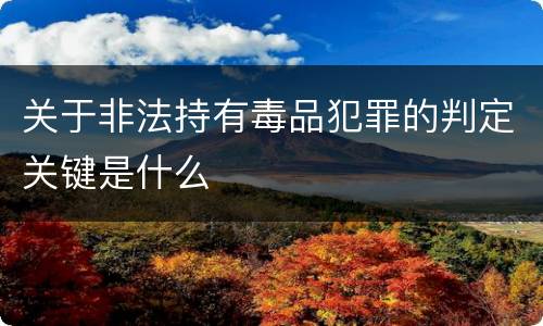关于非法持有毒品犯罪的判定关键是什么