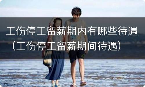 工伤停工留薪期内有哪些待遇（工伤停工留薪期间待遇）