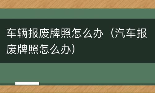 车辆报废牌照怎么办（汽车报废牌照怎么办）