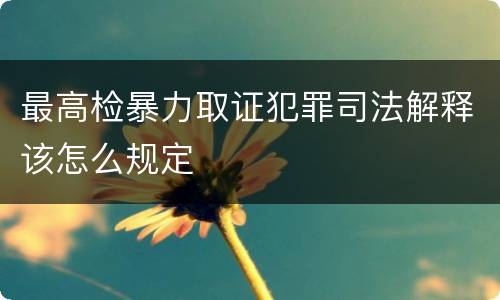 最高检暴力取证犯罪司法解释该怎么规定