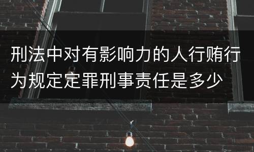 刑法中对有影响力的人行贿行为规定定罪刑事责任是多少
