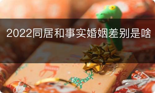 2022同居和事实婚姻差别是啥