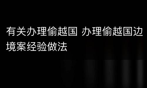有关办理偷越国 办理偷越国边境案经验做法