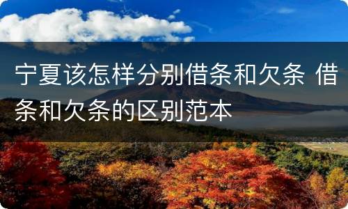 宁夏该怎样分别借条和欠条 借条和欠条的区别范本