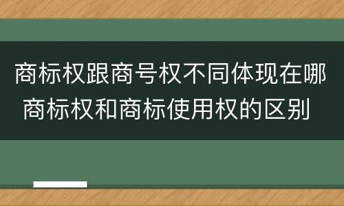 商标权跟商号权不同体现在哪 商标权和商标使用权的区别