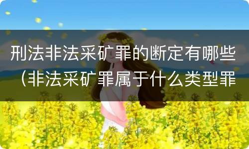 刑法非法采矿罪的断定有哪些（非法采矿罪属于什么类型罪）